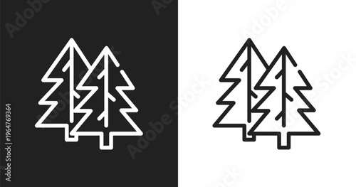 Fir icon. Linear black, white icon from winter collection. Outline fir vector. Thin line symbol isolated on white and black background