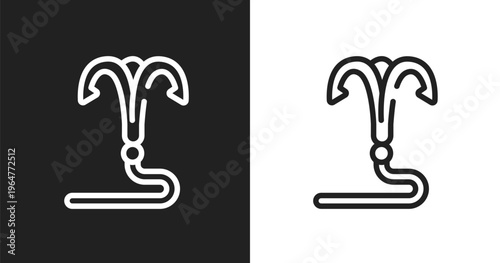 Grappling hook icon. Linear black, white icon from martial arts collection. Outline grappling hook vector. Thin line symbol isolated on white and black background