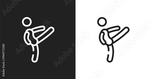 Master icon. Linear black, white icon from martial arts collection. Outline master vector. Thin line symbol isolated on white and black background