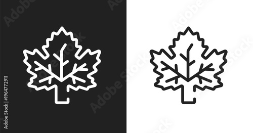 Mapple leaf icon. Linear black, white icon from hockey collection. Outline mapple leaf vector. Thin line symbol isolated on white and black background