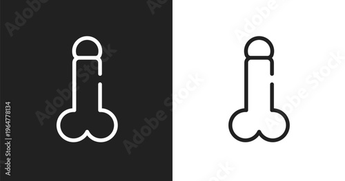 Penis icon. Linear black, white icon from plastic surgery collection. Outline penis vector. Thin line symbol isolated on white and black background