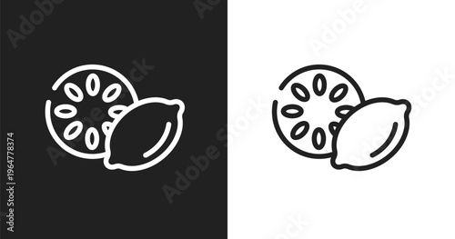 Lemon slice icon. Linear black, white icon from beauty and spa collection. Outline lemon slice vector. Thin line symbol isolated on white and black background