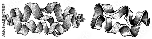 Curved vintage ribbons and scrolls with detailed cross hatching engraving style