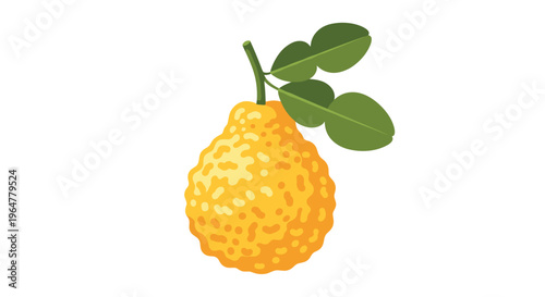 A single, textured yellow kaffir lime with a bumpy rind hangs from a short brown stem with two smooth green leaves attached against a plain white background.