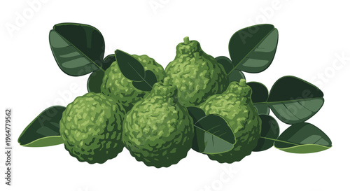 A horizontal arrangement of five textured green kaffir limes with dark leaves is presented against a clean white background.