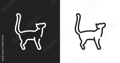Bengal cat icon. Linear black, white icon from cat breed bodies collection. Outline bengal cat vector. Thin line symbol isolated on white and black background