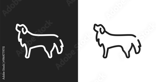 Bernese mountain dog icon. Linear black, white icon from dog breeds heads collection. Outline bernese mountain dog vector. Thin line symbol isolated on white and black background
