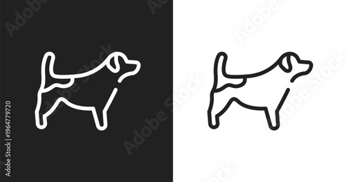 Jack russel terrier icon. Linear black, white icon from dog breeds heads collection. Outline jack russel terrier vector. Thin line symbol isolated on white and black background