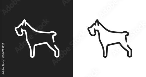 Miniature schnauzer icon. Linear black, white icon from dog breeds fullbody collection. Outline miniature schnauzer vector. Thin line symbol isolated on white and black background
