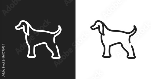 Afghan hound icon. Linear black, white icon from dog breeds fullbody collection. Outline afghan hound vector. Thin line symbol isolated on white and black background