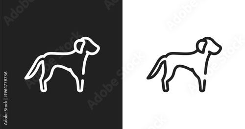 Springer spaniel icon. Linear black, white icon from dog breeds fullbody collection. Outline springer spaniel vector. Thin line symbol isolated on white and black background