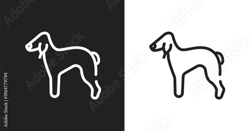 Bedlington terrier icon. Linear black, white icon from dog breeds fullbody collection. Outline bedlington terrier vector. Thin line symbol isolated on white and black background