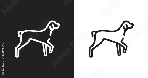 Kurzhaar icon. Linear black, white icon from dog breeds fullbody collection. Outline kurzhaar vector. Thin line symbol isolated on white and black background