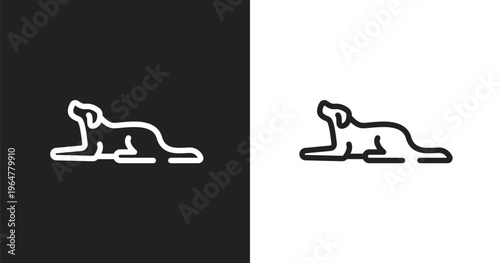 Border collie icon. Linear black, white icon from dog breeds fullbody collection. Outline border collie vector. Thin line symbol isolated on white and black background