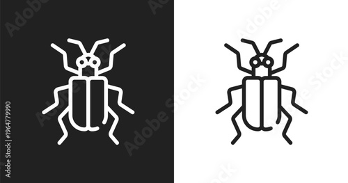 Asparagus beetle icon. Linear black, white icon from insects collection. Outline asparagus beetle vector. Thin line symbol isolated on white and black background