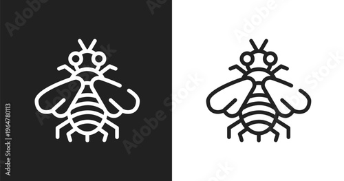 Bumblebee icon. Linear black, white icon from insects collection. Outline bumblebee vector. Thin line symbol isolated on white and black background