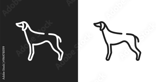 Greyhound icon. Linear black, white icon from dog and training collection. Outline greyhound vector. Thin line symbol isolated on white and black background