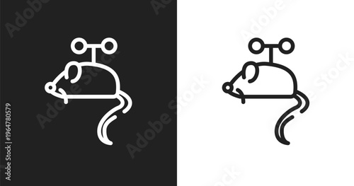 Toy mouse icon. Linear black, white icon from pet shop collection. Outline toy mouse vector. Thin line symbol isolated on white and black background