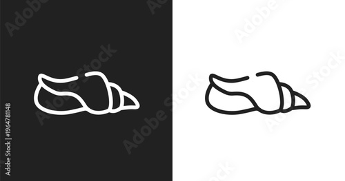 Seashell conch icon. Linear black, white icon from free animals collection. Outline seashell conch vector. Thin line symbol isolated on white and black background