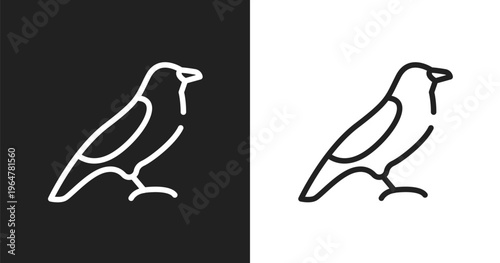 Bird of black feathers icon. Linear black, white icon from birds pack collection. Outline bird of black feathers vector. Thin line symbol isolated on white and black background