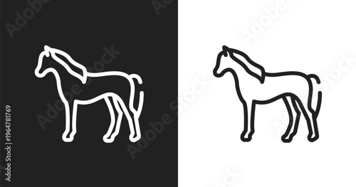 Horse standing icon. Linear black, white icon from horses collection. Outline horse standing vector. Thin line symbol isolated on white and black background