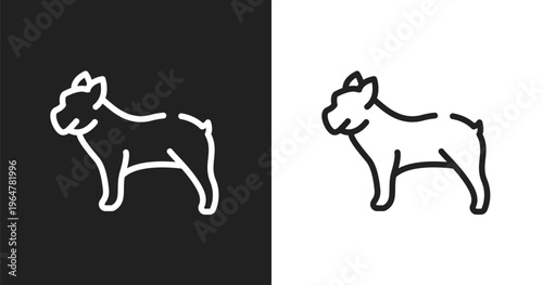 Bulldog icon. Linear black, white icon from animals collection. Outline bulldog vector. Thin line symbol isolated on white and black background