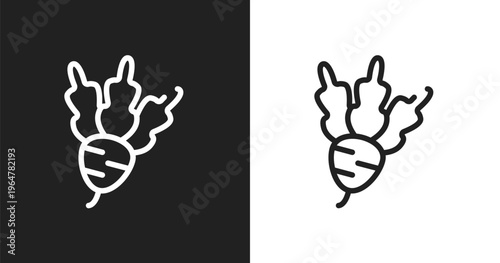 Beet icon. Linear black, white icon from thanksgiving collection. Outline beet vector. Thin line symbol isolated on white and black background