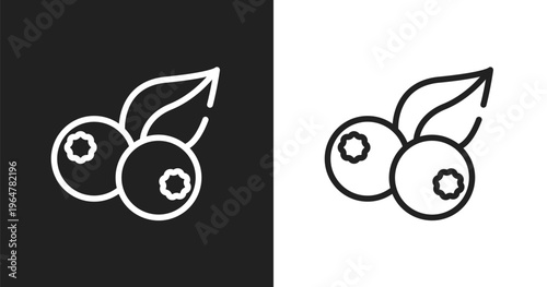 Berries icon. Linear black, white icon from thanksgiving collection. Outline berries vector. Thin line symbol isolated on white and black background