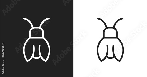 Cicada icon. Linear black, white icon from insects collection. Outline cicada vector. Thin line symbol isolated on white and black background