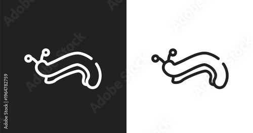 Slug icon. Linear black, white icon from insects collection. Outline slug vector. Thin line symbol isolated on white and black background
