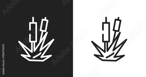 Bulrush icon. Linear black, white icon from nature collection. Outline bulrush vector. Thin line symbol isolated on white and black background