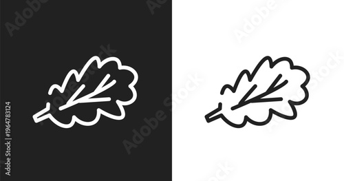 Oak leaf icon. Linear black, white icon from nature collection. Outline oak leaf vector. Thin line symbol isolated on white and black background
