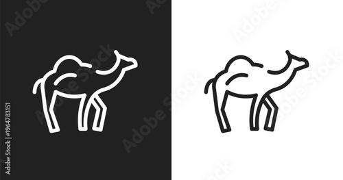 Dromedary icon. Linear black, white icon from desert collection. Outline dromedary vector. Thin line symbol isolated on white and black background