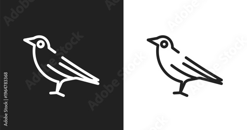 Crow icon. Linear black, white icon from birds collection. Outline crow vector. Thin line symbol isolated on white and black background
