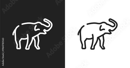 Safari icon. Linear black, white icon from in the zoo collection. Outline safari vector. Thin line symbol isolated on white and black background