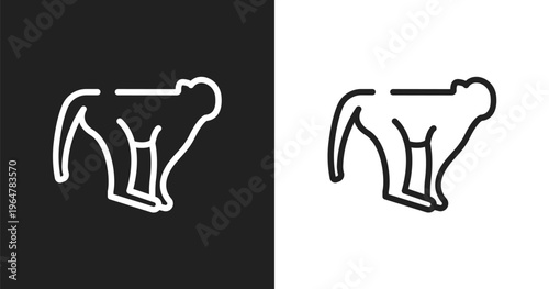 Monkeys icon. Linear black, white icon from in the zoo collection. Outline monkeys vector. Thin line symbol isolated on white and black background