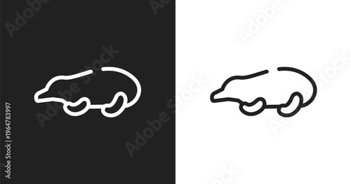 Mole icon. Linear black, white icon from animals collection. Outline mole vector. Thin line symbol isolated on white and black background