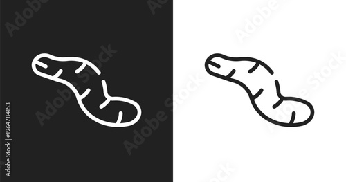 Worm icon. Linear black, white icon from insects collection. Outline worm vector. Thin line symbol isolated on white and black background