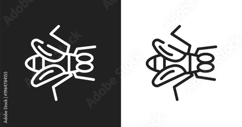 Gadfly icon. Linear black, white icon from insects collection. Outline gadfly vector. Thin line symbol isolated on white and black background