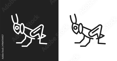 Grasshopper icon. Linear black, white icon from insects collection. Outline grasshopper vector. Thin line symbol isolated on white and black background