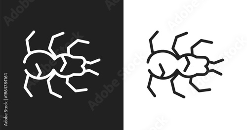 Tarantula icon. Linear black, white icon from insects collection. Outline tarantula vector. Thin line symbol isolated on white and black background