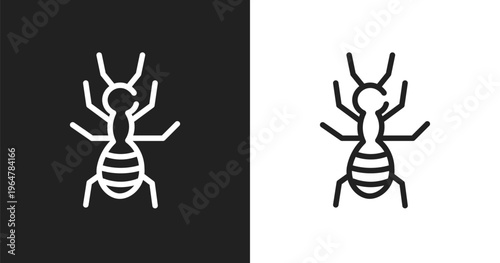 Ant icon. Linear black, white icon from insects collection. Outline ant vector. Thin line symbol isolated on white and black background
