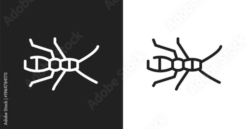 Earwig icon. Linear black, white icon from insects collection. Outline earwig vector. Thin line symbol isolated on white and black background