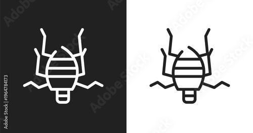 Bedbug icon. Linear black, white icon from insects collection. Outline bedbug vector. Thin line symbol isolated on white and black background