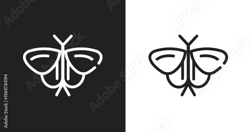 Moth icon. Linear black, white icon from insects collection. Outline moth vector. Thin line symbol isolated on white and black background