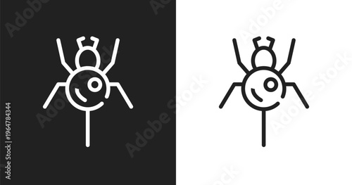 Spider icon. Linear black, white icon from nature collection. Outline spider vector. Thin line symbol isolated on white and black background