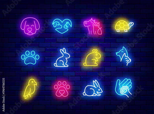 Animal neon icons set. Rabbit, humster and dog with cat. Animal center. Veterinary, training and grooming. Domestic fauna. Editing text. Vector stock illustration