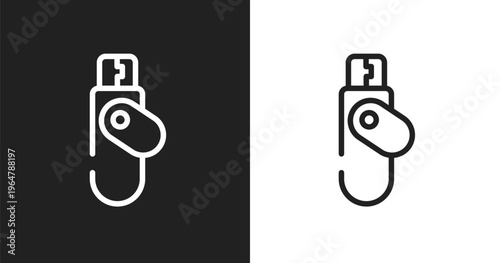Flash disk icon. Linear black, white icon from data protection collection. Outline flash disk vector. Thin line symbol isolated on white and black background