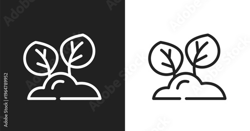 Reforestation icon. Linear black, white icon from charity collection. Outline reforestation vector. Thin line symbol isolated on white and black background