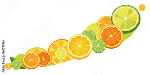 Assorted citrus fruit slices arranged in a diagonal curve, vector